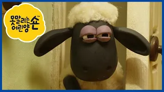 에피소드 펀 믹스 4 - 숀 더 쉽 - 편집 1 시간 [Shaun the Sheep Korea | Compilation]