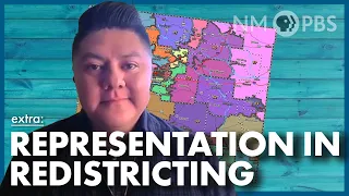 Representation in Redistricting | Web Extra