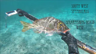 South West Spearheads| EP2 Spearfishing North West WA