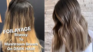 FOILAYAGE |  BRASSY To Mushroom Brown On Dark Hair