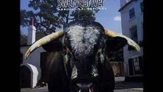 Swervedriver-Planes Over the Skyline-