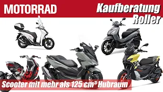 Große Roller in Deutschland im Überblick: Scooter mit mehr als 125 cm³ Hubraum