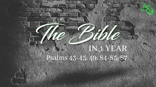 The Bible in 1 Year - EP 114 - Psalms 43-45, 49, 84-85, 87