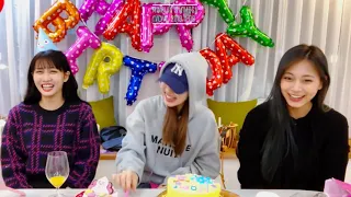 MOMO passing out during her birthday party | Happy MOMO day!