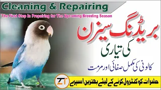 Preparing For The  Breeding Season |Cleaning & Repairing Cages|Best Medicine for Control Pests