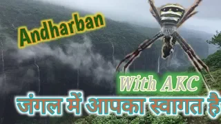 Andharban Trekking in Monsoon 2019 || Dark forest || Sahyadri region