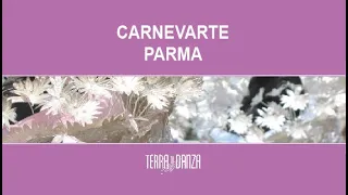 CARNEVARTE con TERRA DI DANZA