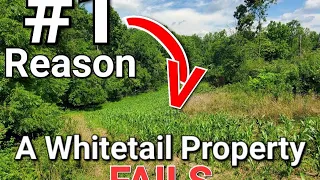 #1 Reason a Whitetail Hunting Property Fails