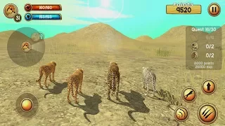 Wild Cheetah Sim 3D Android Gameplay #5