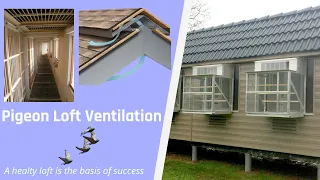 Pigeon Loft Ventilation - "A healty loft is the basis of success" 🇬🇧  ENGLISH VERSION 🇺🇸