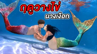 ฤดูวางไข่!! นางเงือกท้อง ใช้ชีวิตใต้บาดาล MERMAID PREGNANT ละครสั้น สลับหาง สร้างรัก EP.3 พี่เฟิร์น