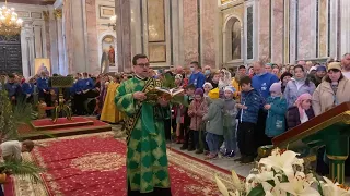 Прокимен, Апостол, Аллилуйя в неделю Ваий, Вход Господень в Иерусалим