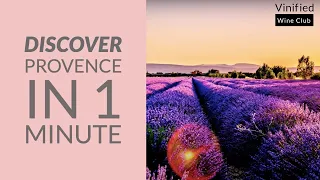 What are Provence Rose Wines? Cote de Provence Rose Wines Explained