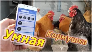 Умный курятник Автономная кормушка для кур, цыплят Презентация и настройка