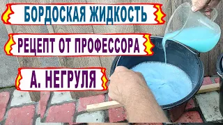 🍇 Настоящая БОРДОСКАЯ ЖИДКОСТЬ от профессора НЕГРУЛЯ. А ты тоже всю жизнь делал ее НЕПРАВИЛЬНО?