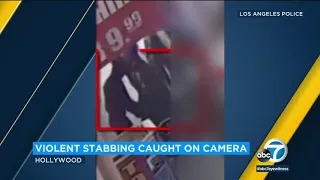 New video shows vicious Hollywood stabbing | ABC7