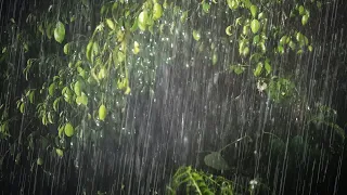 Fall Easily Into Deep Sleep with Strong Rainstorm and Rolling Thunder Sounds - Heavy Rain Sounds