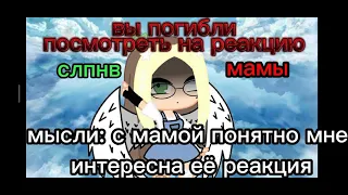 🧸{meme}🦋{вы умерли посмотреть на реакцию}🎻