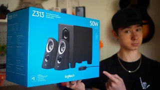 Best budget speakers under $50 dollars (Logitech Z313 speakers Review)