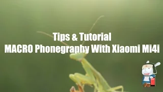 Tutorial Macro 10 2016 ( Macro Phonegraphy With Xiaomi Mi4i )