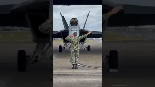 Caça Combate USAF F/A-18  Teste de Comandos de voo #shorts