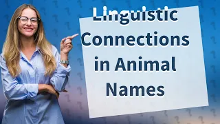 How Do Animals Names Compare in Different Germanic Languages?