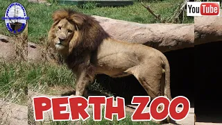 Perth Zoo - Western Australia