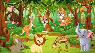 CUTE LITTLE ANIMALS - TIGER, MONKEY, RACCOON, LION - ANIMAL SOUNDS | ANIMAL MOMENTS