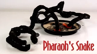 Amazing Black Pharaoh's Snake - 3 Pharaoh's Serpent Science Experiment