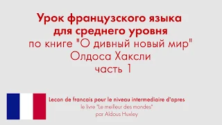 Урок французского языка для среднего уровня по книге "О дивный новый мир" Олдоса Хаксли. Часть 1