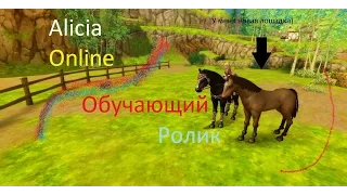 Настройки Alicia Online обучающие ролики #1