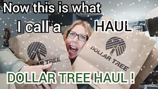 DOLLAR TREE HAUL | DOLLAR TREE IS FEEDING MY ADDICTION FOR ONLY $1.25 !! NEW HAUL OF FABULOUSNESS !