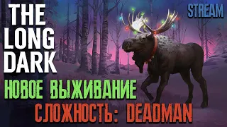 СЛОЖНОСТЬ: DEADMAN #13 ► THE LONG DARK ► ХАРДКОРНОЕ ВЫЖИВАНИЕ