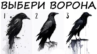 Магия выбора: Какой ворон принесет перемену в твою жизнь? Проверь себя сейчас!