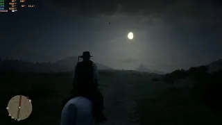 Red Dead Redemption 2 PC - XFX RX 580 8g 1080p High settings!