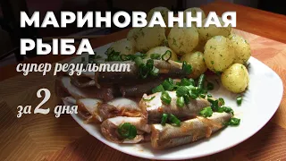 Маринованная рыба за два дня. Самый простой рецепт. Мужская кухня.