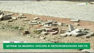 Штраф за выброс мусора в неположенном месте