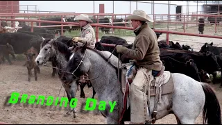 Ranch Branding with the kids and colts #ranch #texas #cowboy