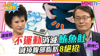 名醫密技大公開 不運動消滅鮪魚肚 減掉腹部脂肪8絕招 20230420 劉博仁 譚敦慈【小宇宙大爆發】完整版 @supersnowshow8819