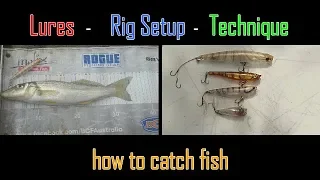 HOW TO CATCH - Whiting on Surface Lures !!!