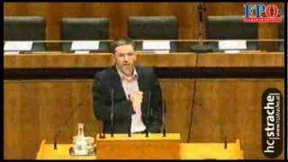 Budget 2011 - Soziales - Herbert Kickl, FPÖ