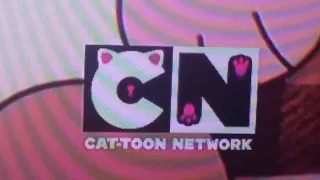 Cat-Toon Network logo (2021) 😸