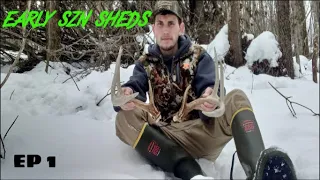 Shed Hunting Pennsylvania 2024 - Giant Matching Sets!