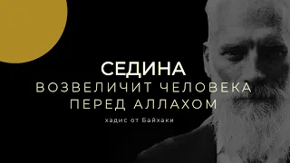 Почему нельзя удалять седые волосы по Исламу?