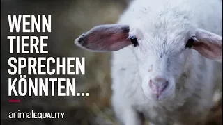 Wenn Tiere sprechen könnten...