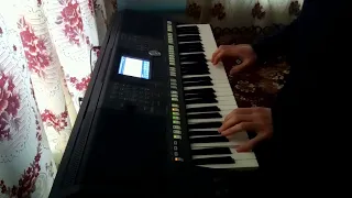 Снег на розах - на Yamaha psr s-950