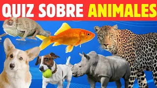 🐷¿Cuánto sabes de animales?😺Ponte a prueba y responde correctamente este quiz