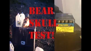 Testing New Dangerous Game 10mm Ammo from Buffalo Bore