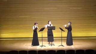 F.Kuhlau/Flute Trio in gminor,Op.13,No.2