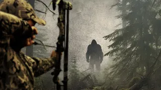 Bowhunters Encounter a Family of Sasquatch